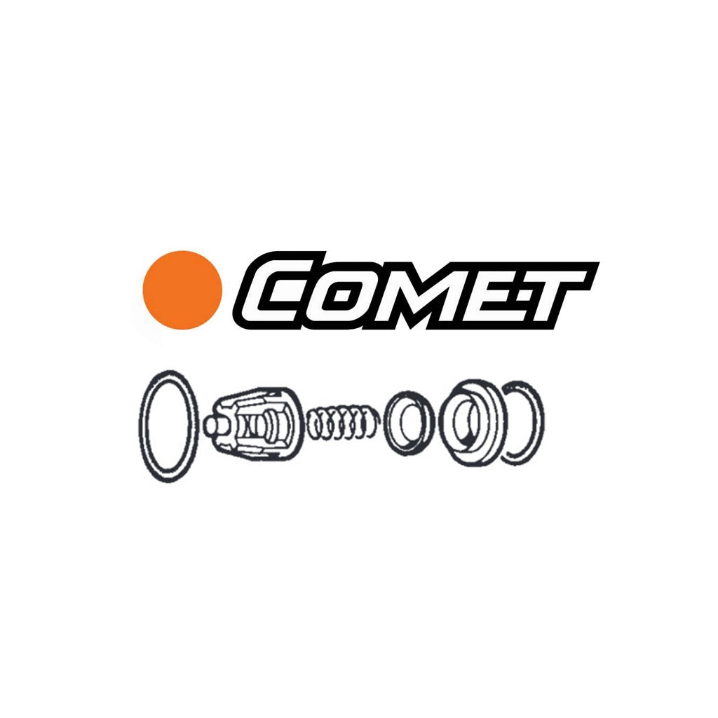 Comet Pump Check Valve Repair Kits